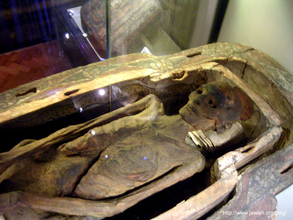 Egyptian mummies. Mummified remains of Asru, a chantress at the Temple of 
